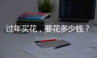 过年买花
，要花多少钱	？｜春节账单③