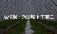 足球报	：新鹏城下午前往武汉和三镇热身
，新帅穆尼奥斯随队前往