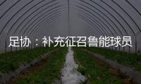 足协：补充征召鲁能球员刘洋入选国足集训名单
