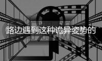 路边遇到这种诡异姿势的鸟
	，别碰！赶紧远离！