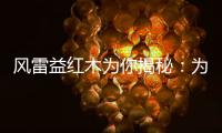 风雷益红木为你揭秘：为何红木家具这么贵?