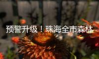预警升级�！珠海全市森林火险橙色预警信号生效