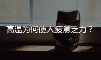 高温为何使人疲惫乏力
？