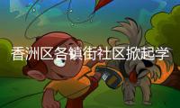 香洲区各镇街社区掀起学雷锋热潮

，用志愿微光点亮城市各个角落