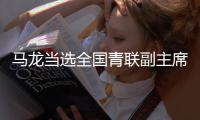 快排公司十年历程，霸屏兔 seo 的崛起与坚守