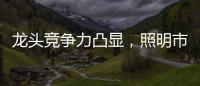 龙头竞争力凸显，照明市场竞争格局高度分散，流量竞争日趋激烈