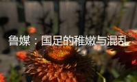 鲁媒
：国足的稚嫩与混乱体现得淋漓尽致�，久帅用人有保守成分