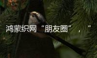 鸿蒙织网“朋友圈”	，“这是决定生死的一战”