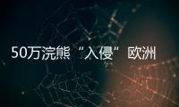 50万浣熊“入侵”欧洲	�，“生态害兽”泛滥难解
