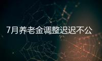 7月养老金调整迟迟不公布，人社部却悄悄更新一条动态，意味着啥