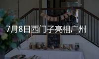 7月8日西门子亮相广州建博会

，新品开关插座引领智能家居新风尚