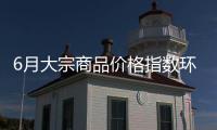 6月大宗商品价格指数环比上涨0.5%
	，市场运行稳中有进