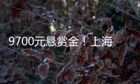 9700元悬赏金！上海老赖何敏躲4年，小区大爷：她爱点三分糖奶茶