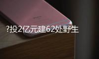 快排公司十年历程，霸屏兔 seo 的崛起与坚守