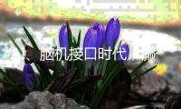 AI�、脑机接口时代，癫痫能否治愈？