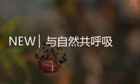NEW ▏与自然共呼吸，与家人贴近自然澄净之美