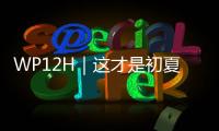 WP12H｜这才是初夏的正确打开方式！