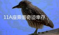 11A座乘客奇迹幸存，3D还原印度坠机事故最后60秒