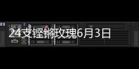 24支铿锵玫瑰6月3日珠海开战！老将新秀齐上阵