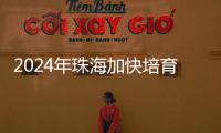 2024年珠海加快培育新质生产力
，高技术制造业增加值同比增长15％