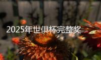 2025年世俱杯完整奖金榜：切尔西1.146亿美元居首，巴黎1.069亿