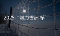 2025“魅力香洲 筝的爱你”风筝会在海天公园沙滩举办
，大湾区7支风筝队展风采