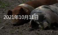 2021年10月11日
，外交部新闻发言人赵立坚主持例行记者会答问澳门月刊记者