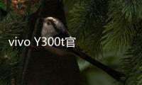 vivo Y300t官宣3月31日发布：超长续航，超强性能