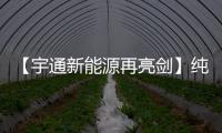 【宇通新能源再亮剑】纯电动港口轮胎起重机即将闪耀天津航运展！