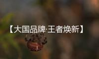 【大国品牌·王者焕新】新工艺	、新展示、新政策