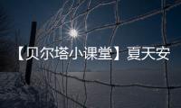 快排公司十年历程，霸屏兔 seo 的崛起与坚守