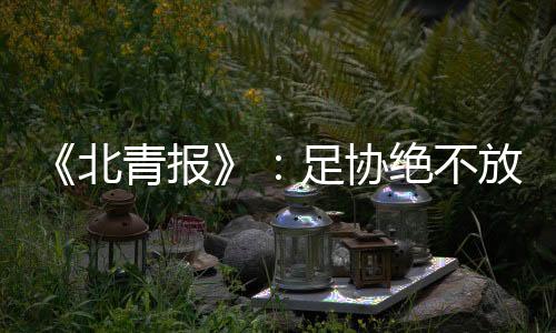 国足今年仅组织了4期集训