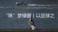 快排公司十年历程，霸屏兔 seo 的崛起与坚守