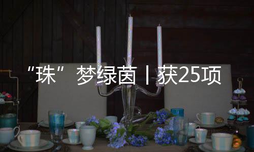家长是珠不可或缺的筑梦人