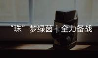 “珠”梦绿茵｜全力备战省中运会，珠海足球少年逐梦绿茵场