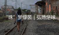 快排公司十年历程，霸屏兔 seo 的崛起与坚守