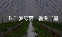 “珠”梦绿茵｜香洲“童超”

	，有模有样！首届幼儿足球趣味赛落幕