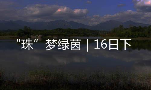 比赛自3月19日拉开帷幕