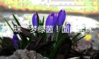 “珠”梦绿茵
！面向全珠海�，征集足球相关作品！
