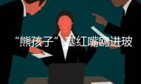 “熊孩子”塞红嘴鸥进玻璃瓶，护鸥队	：抓鸥虐鸥有，但比以前少