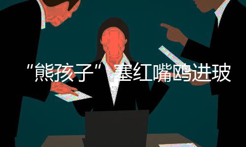 游客在海埂大坝投喂海鸥