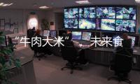 快排公司十年历程，霸屏兔 seo 的崛起与坚守