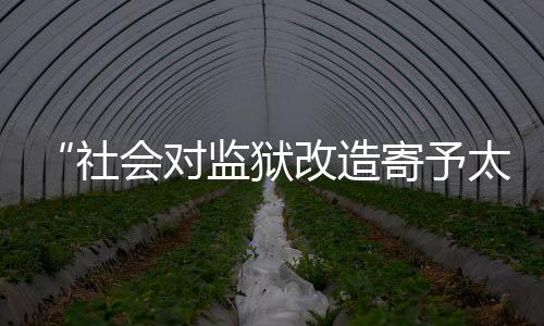 如果以服刑时间作为变量