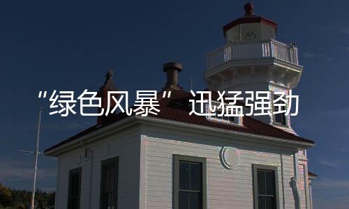 板材企业实施绿色营销