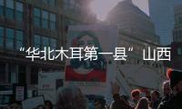 “华北木耳第一县”山西中阳：黑木耳成“富民恒业”