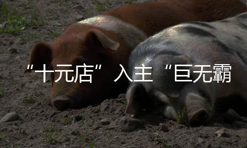 预计2025年上半年完成交易
