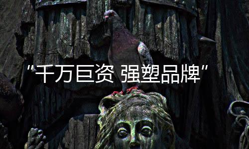 爱奇艺等50多家视频媒体