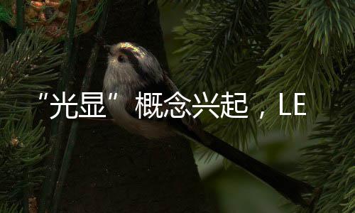 界再光显同源的扩容技术储备