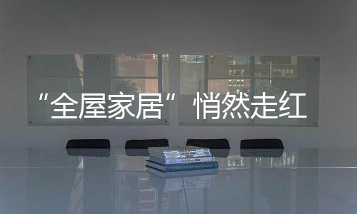 似乎家居行业都在定制