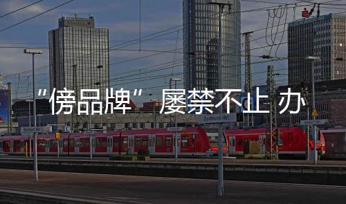 产品相似度极高等欺瞒消费者